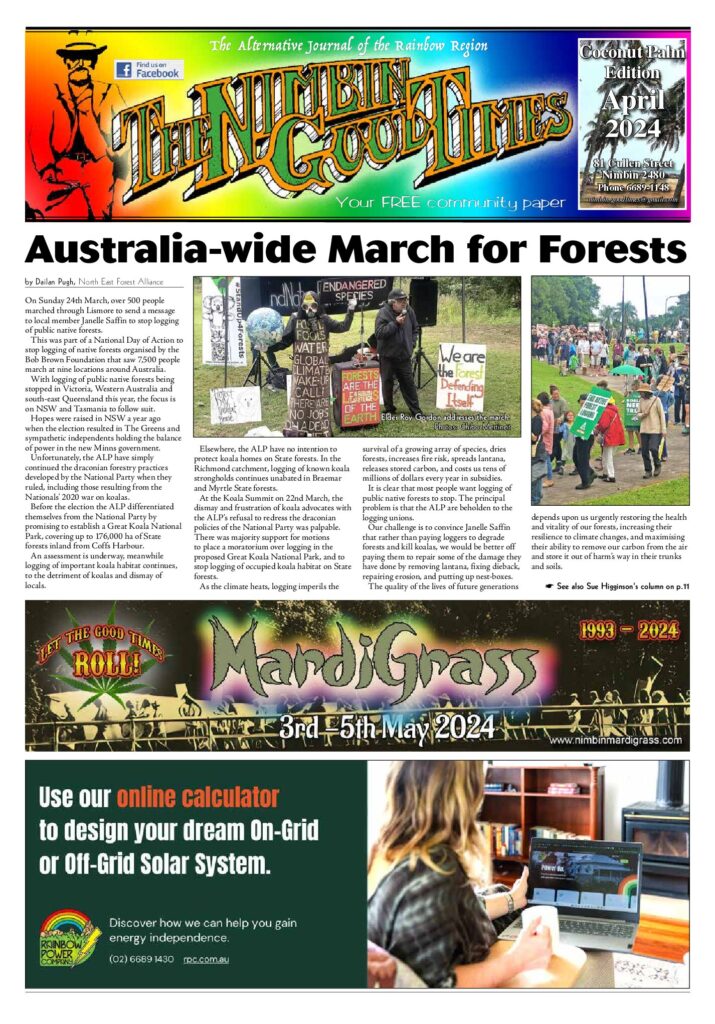 Edition Cover: Coconut Palm Edition