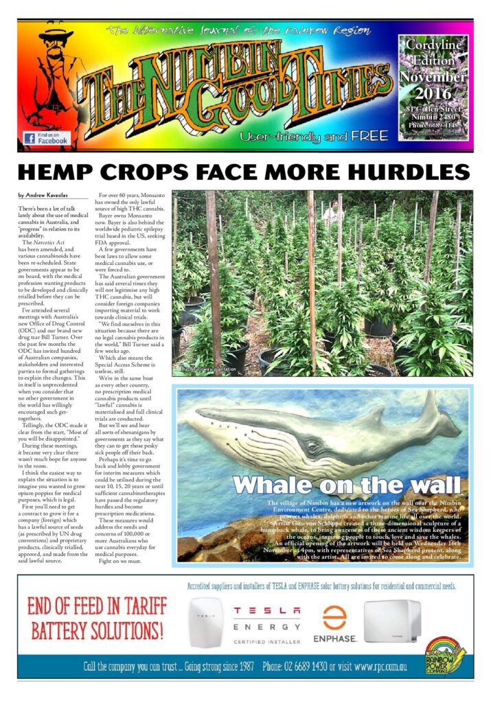 Edition Cover: Cordyline Edition